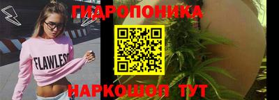 сатива Кингисепп