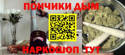 сатива Кингисепп
