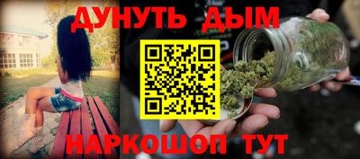сатива Кингисепп