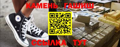 сатива Кингисепп