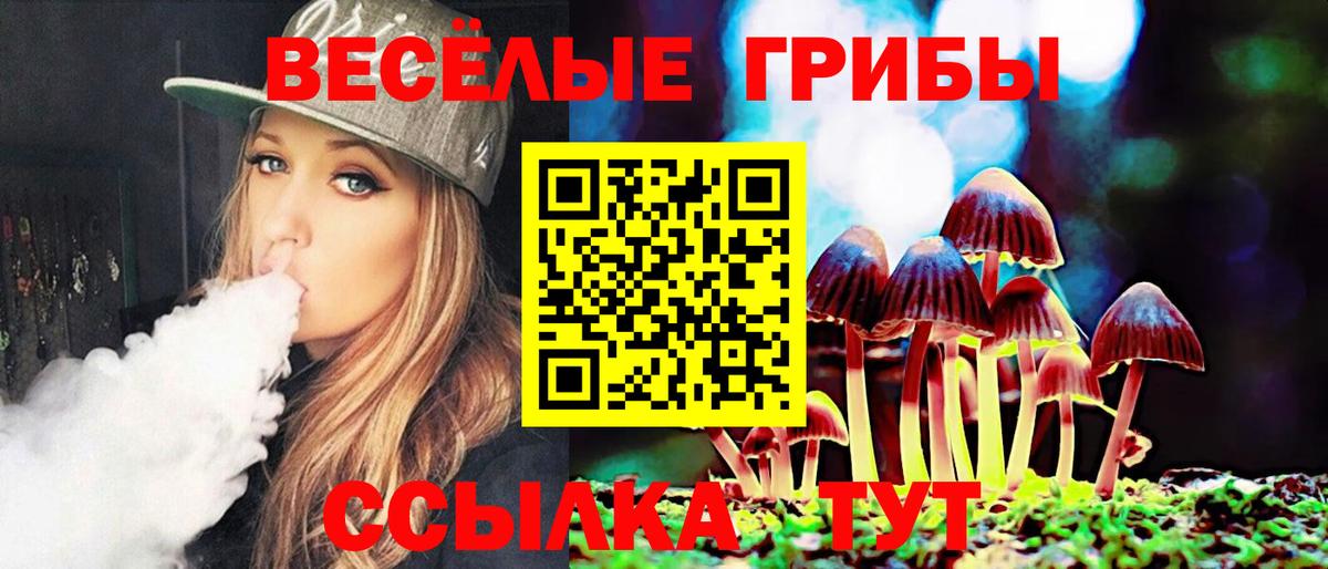 Галлюциногенные грибы прущие грибы Карпинск